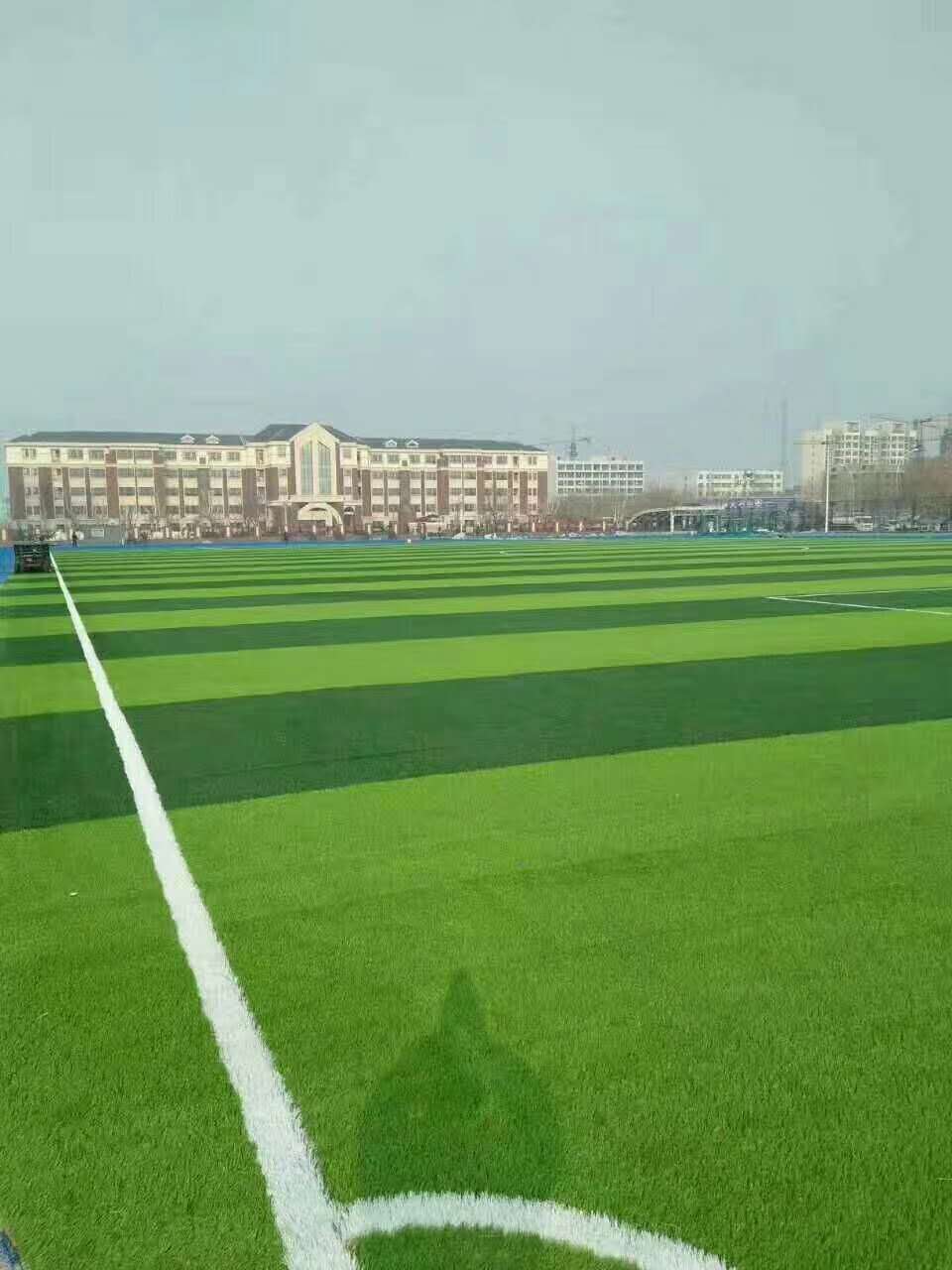 太原市健身步道仿真草坪 - 排名